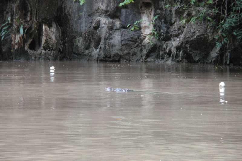 Mexico & Guatemala 2010 - 0357